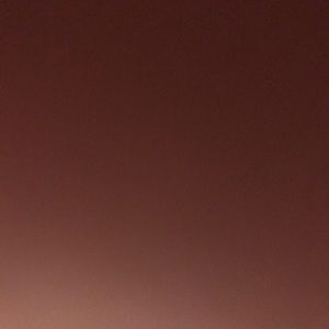 Meet your Posher, Hayden